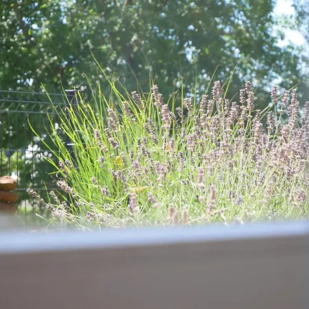 Apartment Mit Garten *