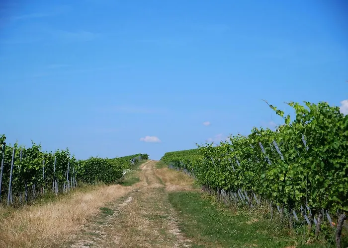 Lejlighed Mit Garten *