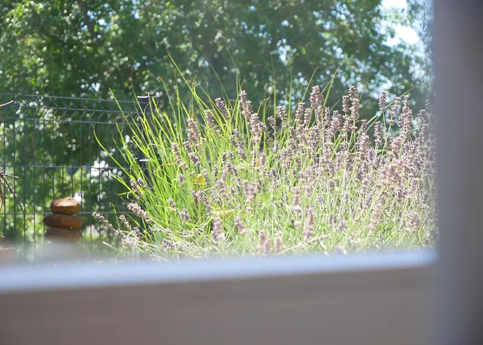 Mit Garten Ehrenkirchen